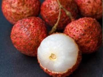Experts Collect Litchi Samples in Bihar to Identify Deadly Virus