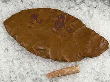 12,600-Year-Old Remains of Infant Reburied in US 12,600-Year-Old Remains of Infant Reburied in US