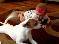 Best Paw Forward: Dog Teaches Baby How to Crawl