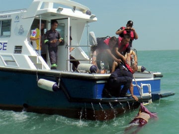 Death Toll in Aegean Migrant Boat Shipwreck Raised to Four