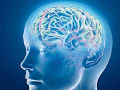 Oldest Evidence of Human Brain Damage Found