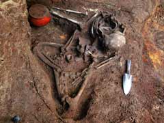 Skeletons Found in El Salvador Shed Light on Pre-Hispanic Life