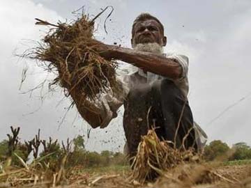 Budget 2014: Agriculture Industry Gives Mixed Reaction