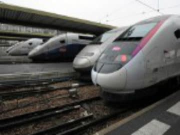 Rats Blamed for Rail Accident in France