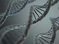Friends Share Similarities in Their DNA: Study