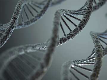 Friends Share Similarities in Their DNA: Study 