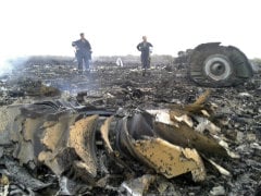 Russia Asks Kiev for Permission to Help at Plane Crash Site