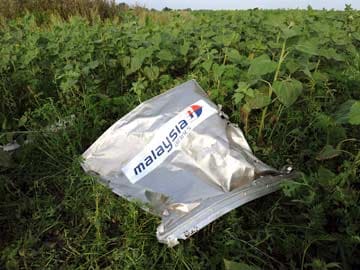 Singapore Airlines Apologises for 'Insensitive' MH17 Post