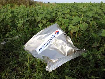 Singapore Airlines Apologises for 'Insensitive' MH17 Post