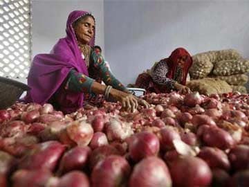 40% Rain Deficit in Madhya Pradesh, Onion Farmers Worried 