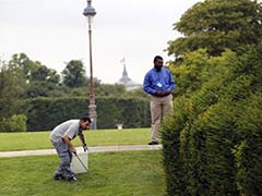 Elegant Louvre Garden in Paris Infested with Rats