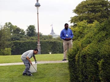 Elegant Louvre Garden in Paris Infested with Rats 