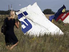 Ukraine Announces Halt to Offensive Over MH17 Probe