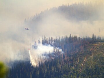 Massive Wildfire Burns 100 Homes in Western United States