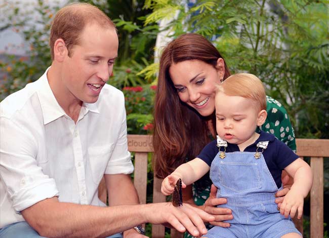 British Royals Thank Adoring World as Prince George Turns One