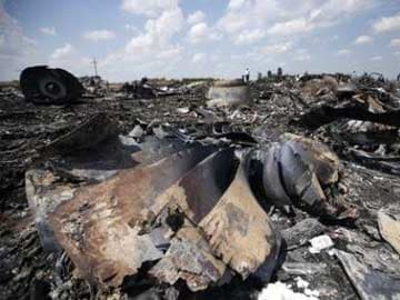 Ukraine Fighting Stops MH17 Investigators: Official