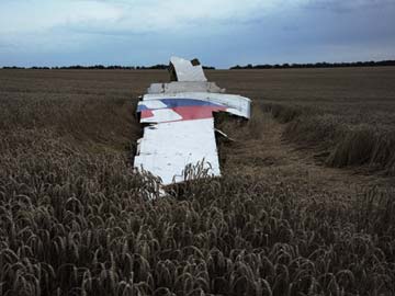 Downed Malaysian Plane Had Clean Bill of Health