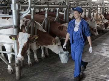 Russia Bans Dairy Imports from Ukraine