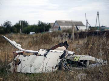 Barack Obama Calls for Immediate Access to Crash Site 