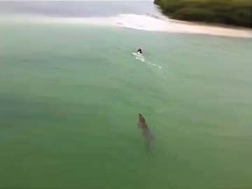 That Heart-Stopping Moment When a Tourist Was Chased By a Crocodile