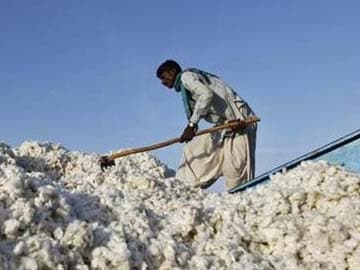 Traders, Spinners Discuss Challenges Faced by Cotton Industry in Tamil Nadu