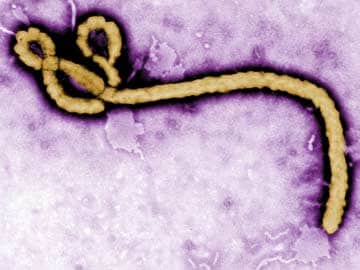 Man Under Observation For Ebola Virus Found Healthy: Government