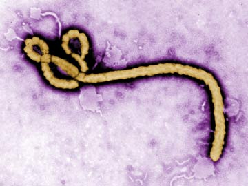 Ebola Emergency Turns Spotlight on Experimental Drugs