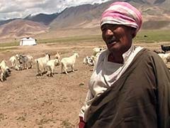 In Ladakh, Life of a Refugee Bordering on Misery