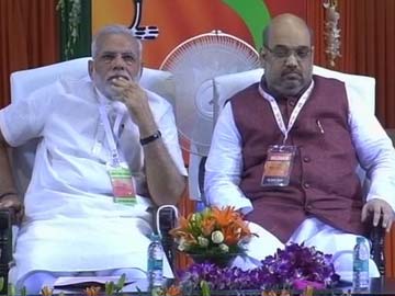 At BJP National Council Meet, Amit Shah Confirmed as Party Chief
