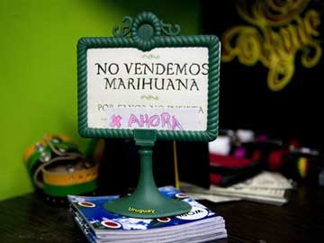 Uruguayan Pot Marketplace May Go up in Smoke 