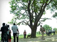 Will Hang Ourselves From Same Tree, Say Badaun Victims' Families