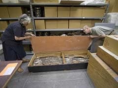 Museum to Display 6,500-Year-Old Human Skeleton