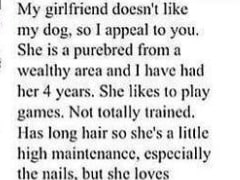 His Girlfriend Hated His Dog. So He Posted This Hilarious Ad Online