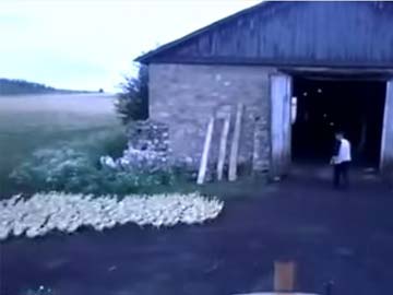 This Russian Knows How to Get His Ducks in a Row. Quite Literally 