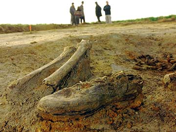 Memories of German World War I Atrocities Haunt Belgium