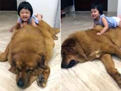 Going Viral: This Little Girl Loves Her Not So Little Dog