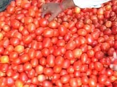 In Vadodara, Tons of Tomatoes Crushed in Fun
