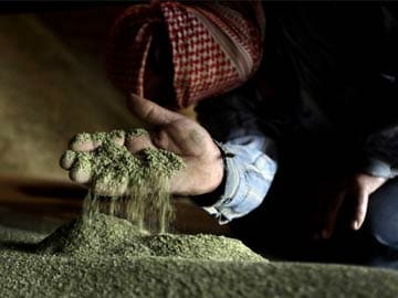 Italian Army to Grow Medical Marijuana	