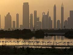 Indian Held in UAE with Fake Visa
