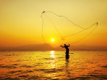 Tamil Nadu, Andhra Pradesh Fishermen Wrangle over 'Border' Fishing; Ban Imposed