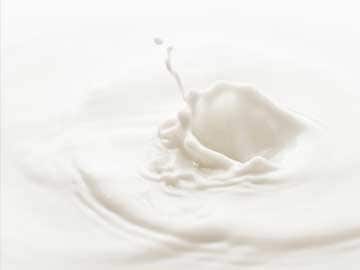 PMK Leader Demands Increase in Procurement Price of Milk