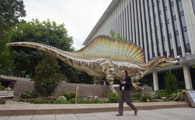 The Dinosaur That Had Sharks For Dinner