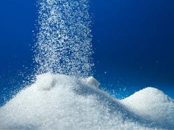 Andhra Government to Set up Panel to Study Woes of Sugar Industry