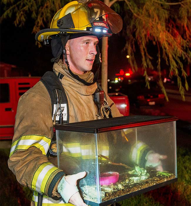 Texas Firefighters Rescue Pet Frog From Blaze 