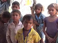 Congress Alleges Malnutrition Deaths on Rajasthan Chief Minister Vasundhara Raje's Home Turf