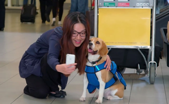 Going Viral: Sherlock is Back and He Now Works For this Airline (Kind of)