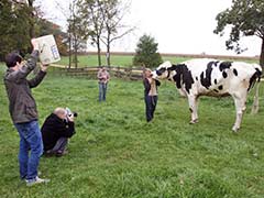 US Pet Dubbed World's Tallest Cow
