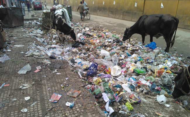 <i>Swachh Bharat Abhiyan</i>: On a Day of Photo Ops, Cleanliness Workers Want More