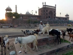 Delhi: Eid-ul-Azha Being Celebrated on Monday