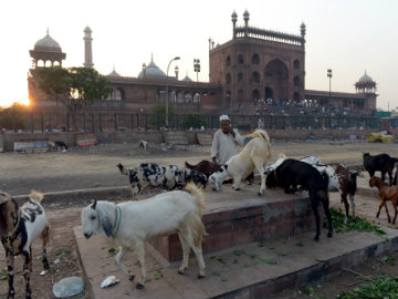 Delhi: Eid-ul-Azha Being Celebrated on Monday 